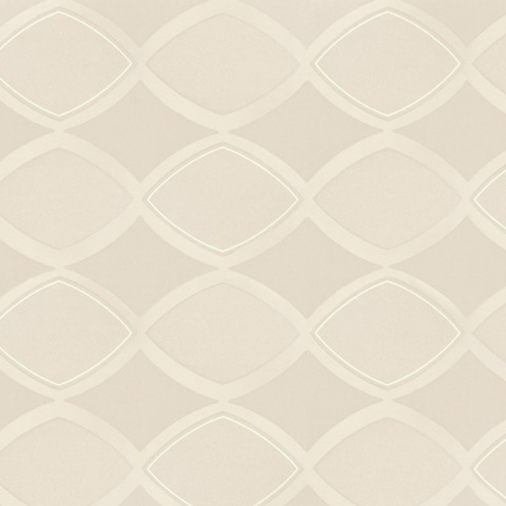 SAPHYR - 280126 (64 cm) - A.C 1