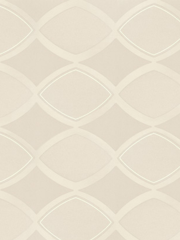 SAPHYR - 280126 (64 cm) - A.C 1