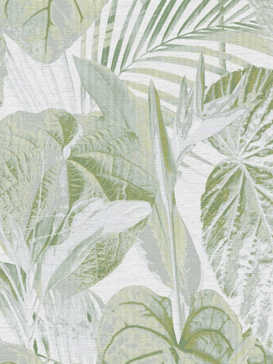 393554 (64/32CM) -FAMOUS GARDEN  1