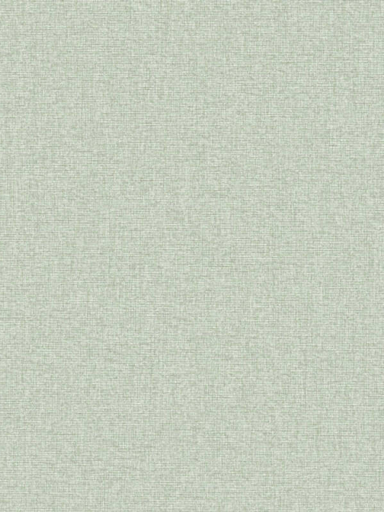 393536 (0CM) -FAMOUS GARDEN  1