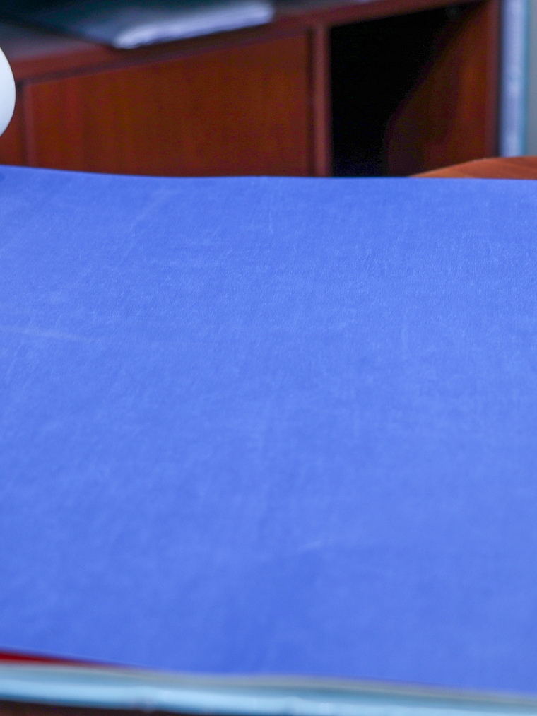 11163331 - LES PETITS CURIEUX - (0CM)     1