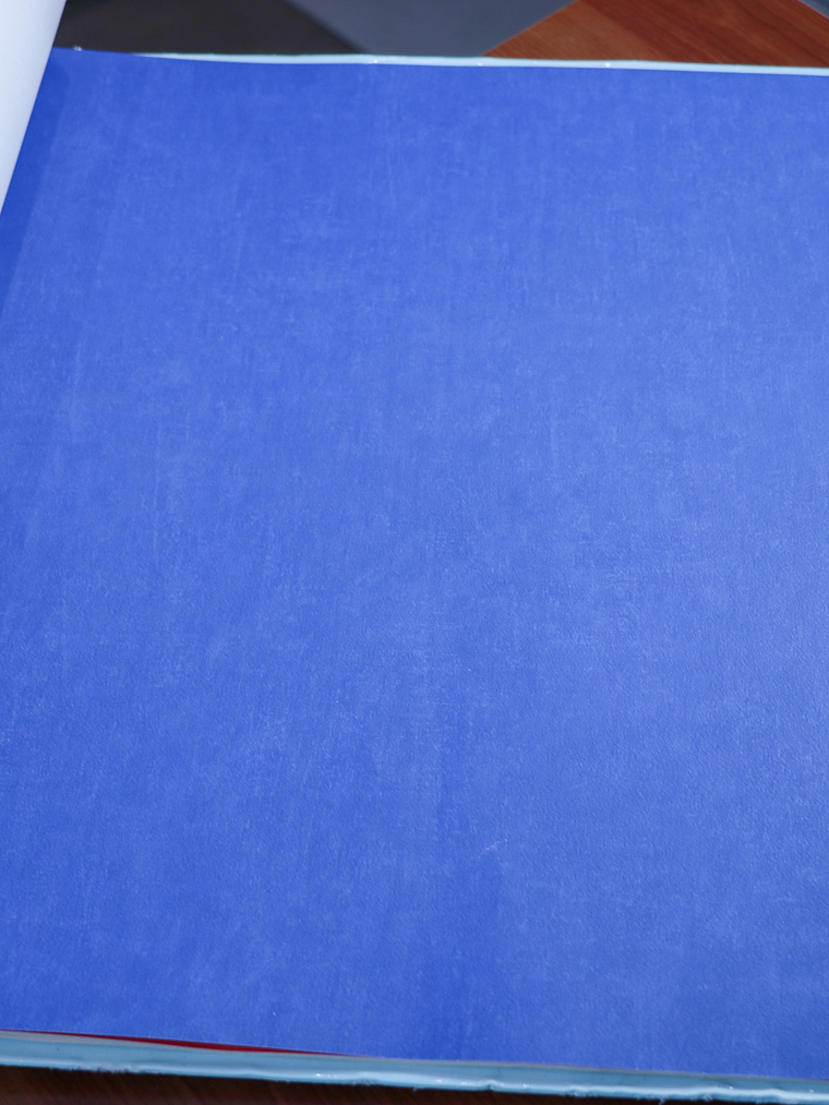 11163331 - LES PETITS CURIEUX - (0CM)     2