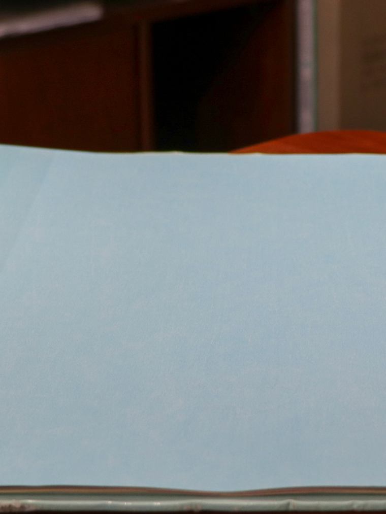 11163301 - LES PETITS CURIEUX - (0CM)  1