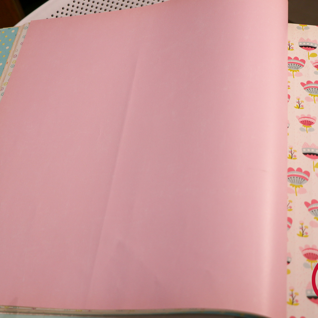 11163303 - LES PETITS CURIEUX - (0CM)    1