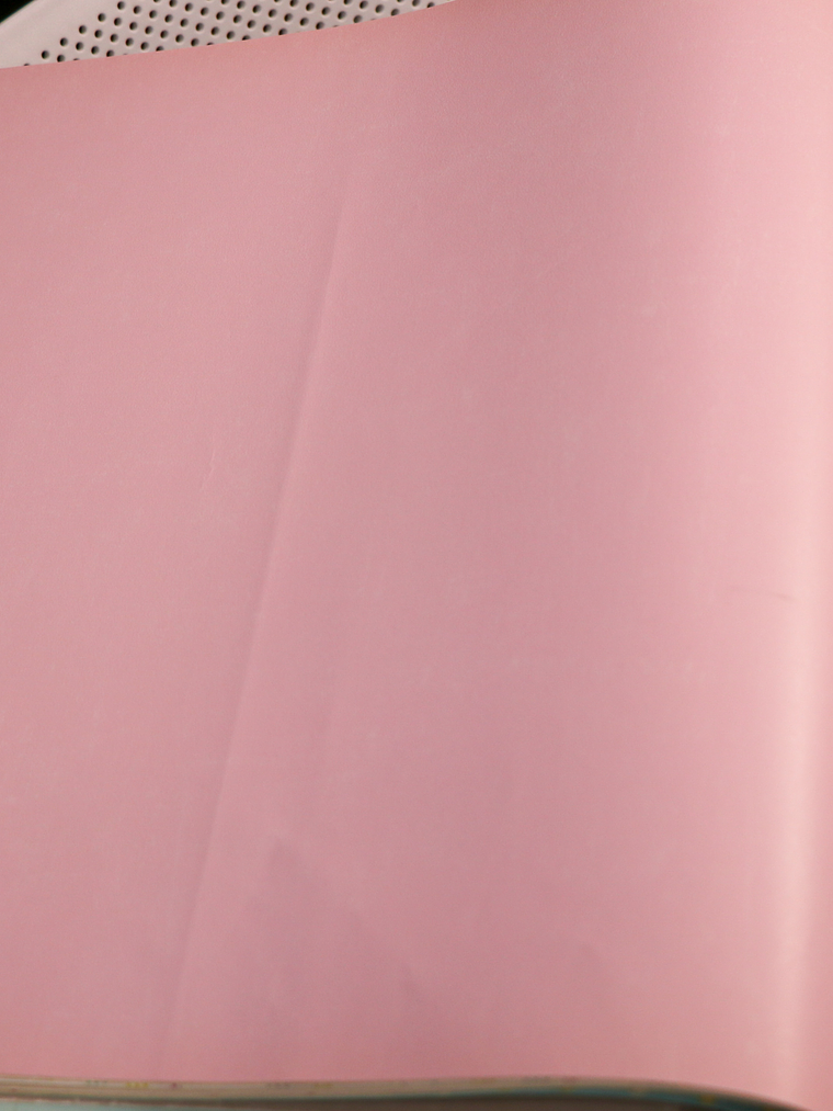 11163303 - LES PETITS CURIEUX - (0CM)    1