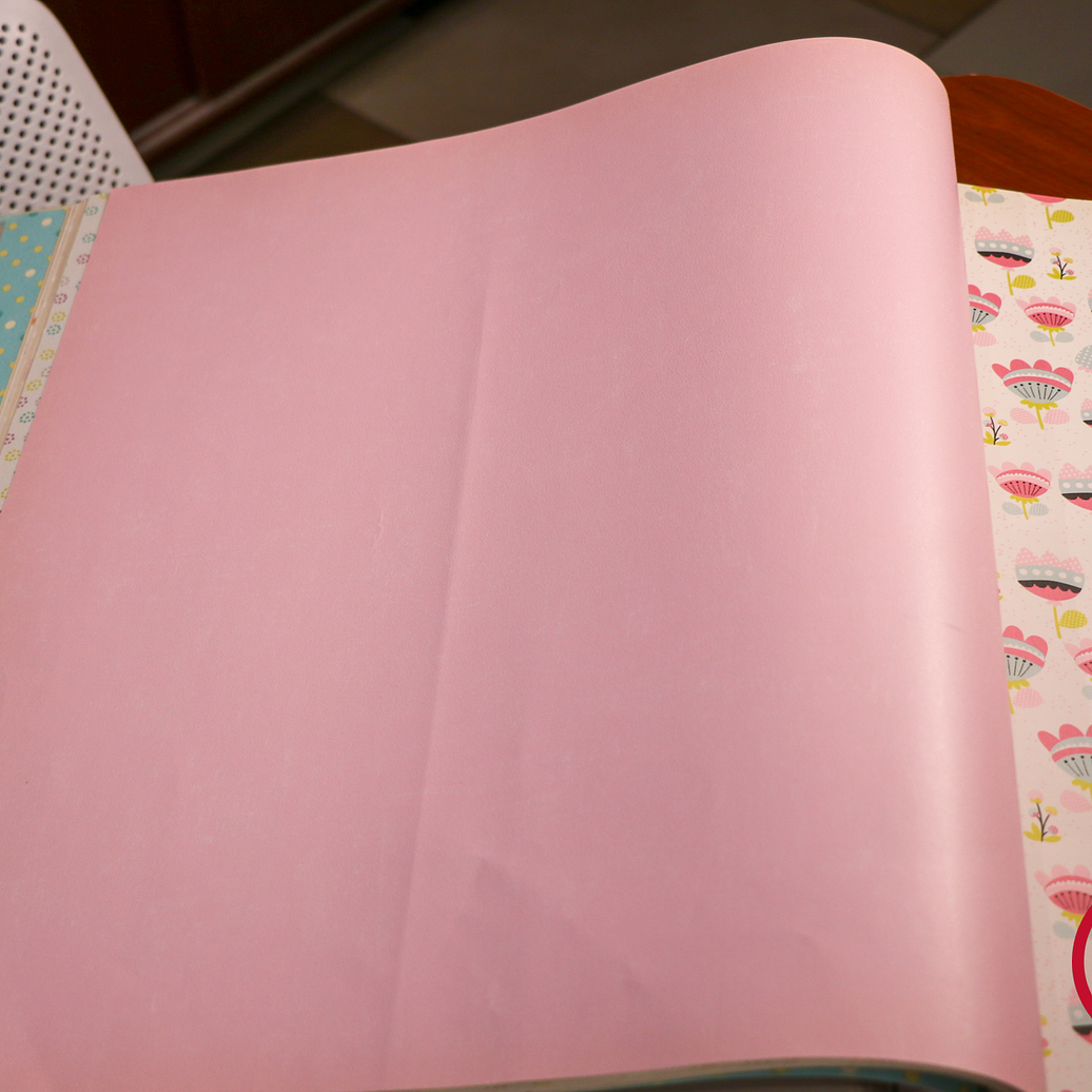 11163303 - LES PETITS CURIEUX - (0CM)    2