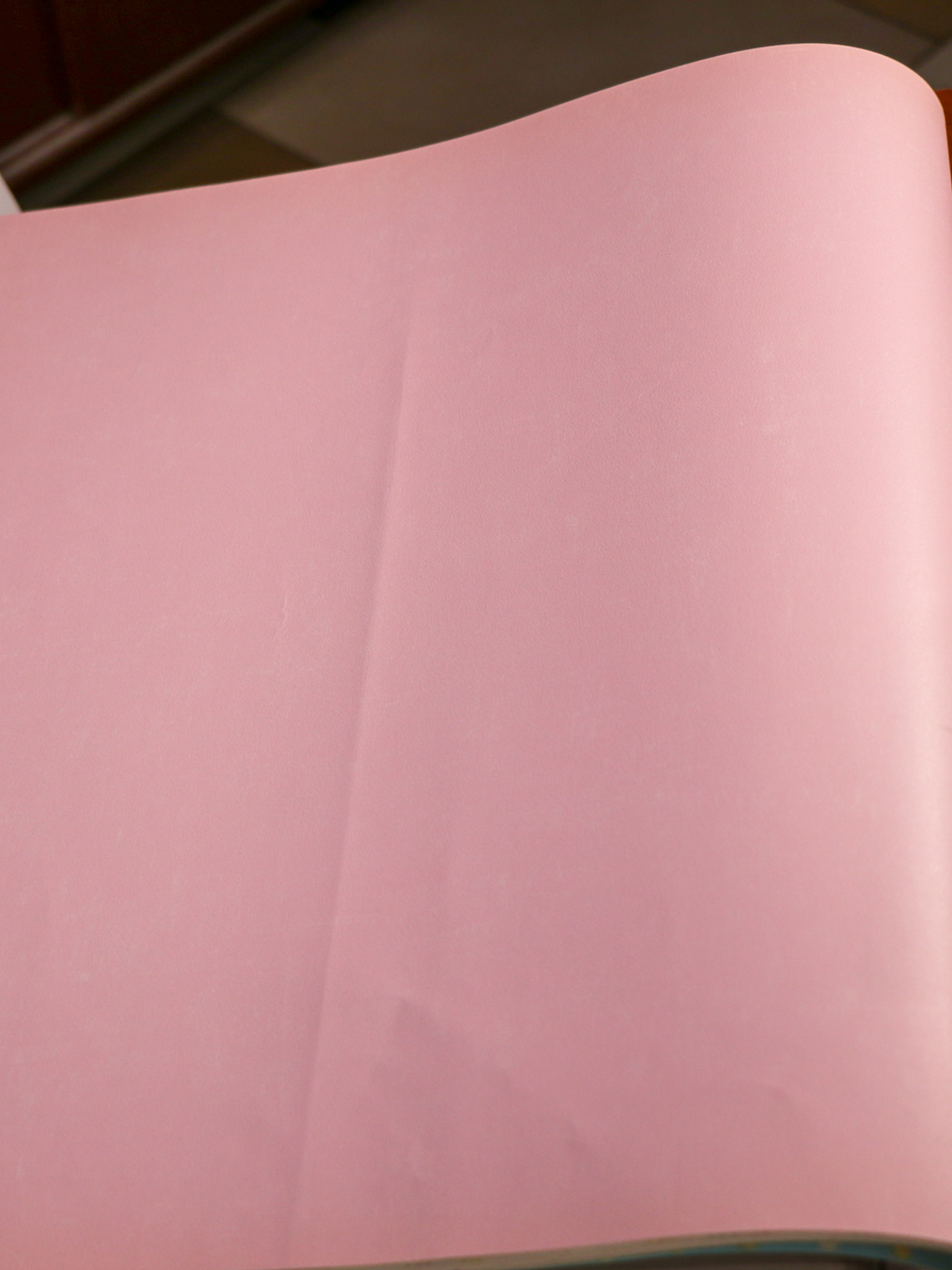 11163303 - LES PETITS CURIEUX - (0CM)    2