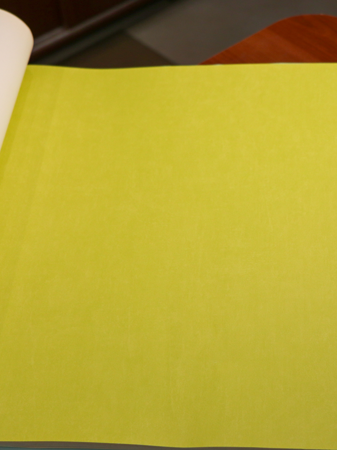 11163304 - LES PETITS CURIEUX - (0CM)  2