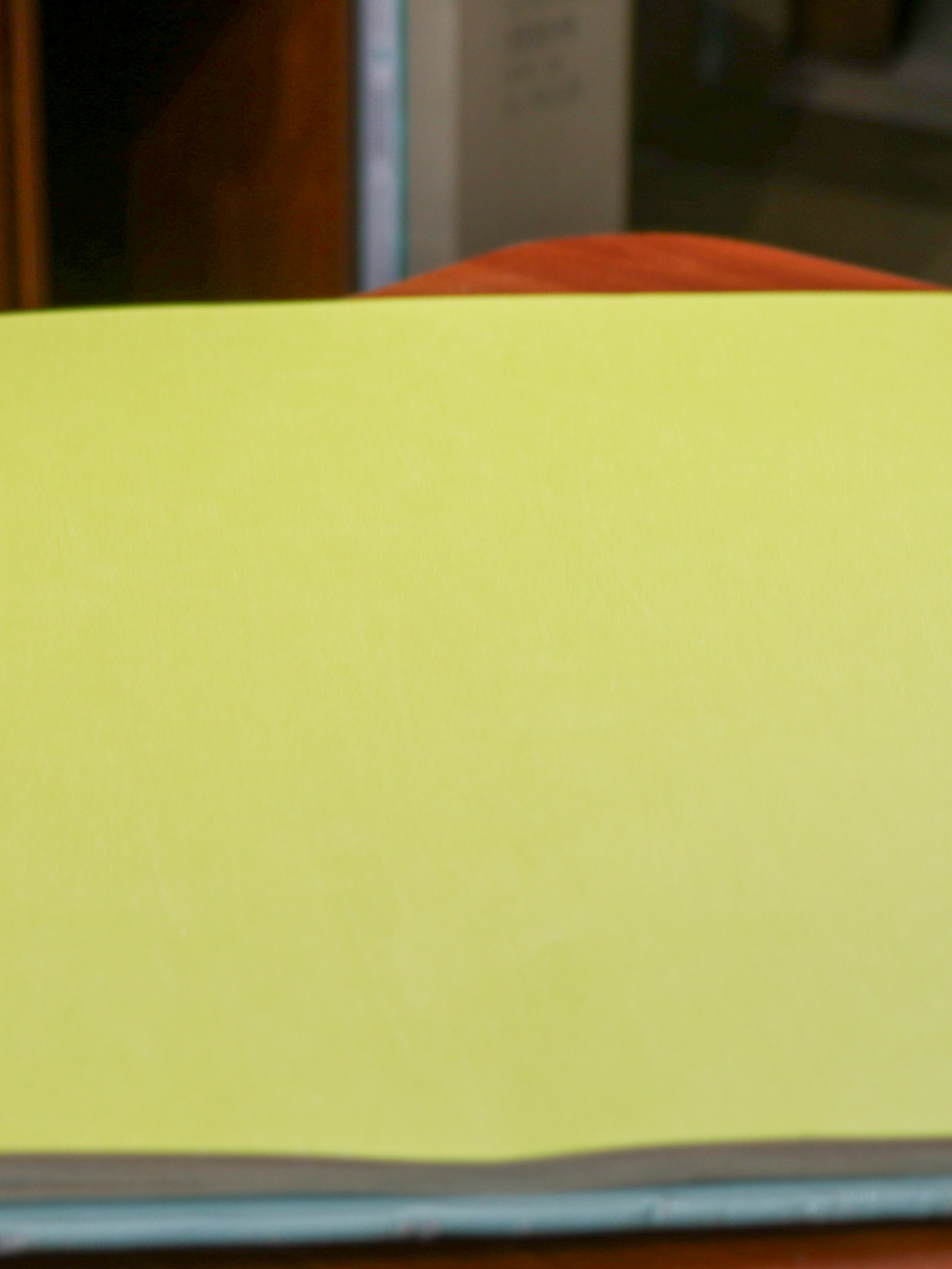 11163304 - LES PETITS CURIEUX - (0CM)  1