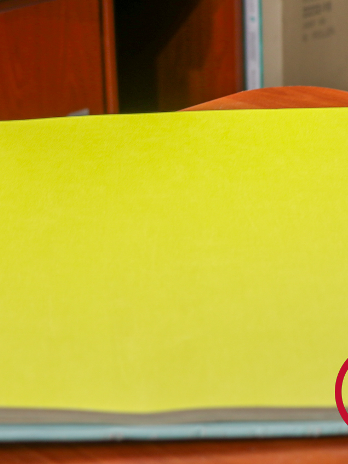 11163304 - LES PETITS CURIEUX - (0CM)  4