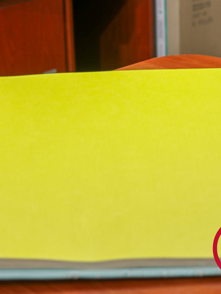 11163304 - LES PETITS CURIEUX - (0CM)  4