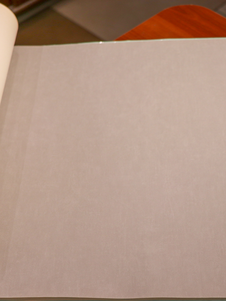 11163309 - LES PETITS CURIEUX - (0CM)  1