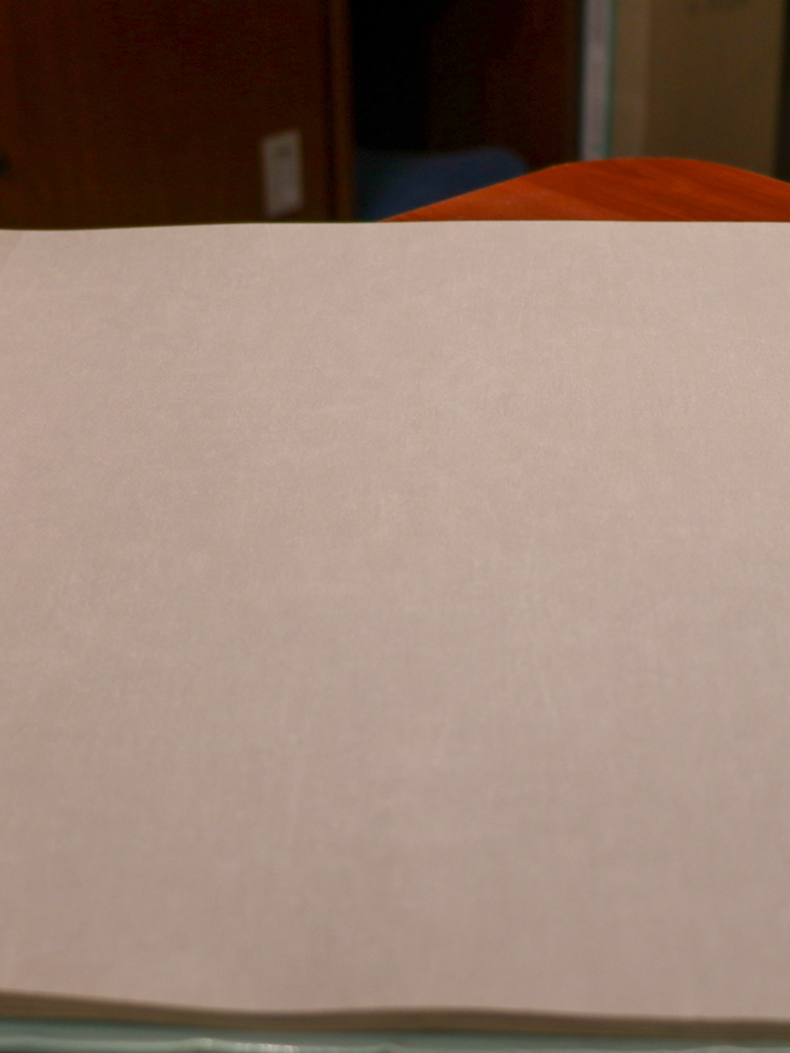 11163309 - LES PETITS CURIEUX - (0CM)  2