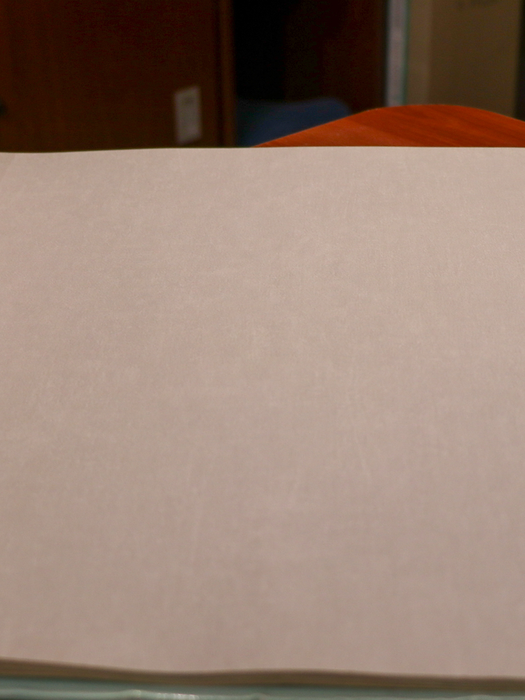 11163309 - LES PETITS CURIEUX - (0CM)  2