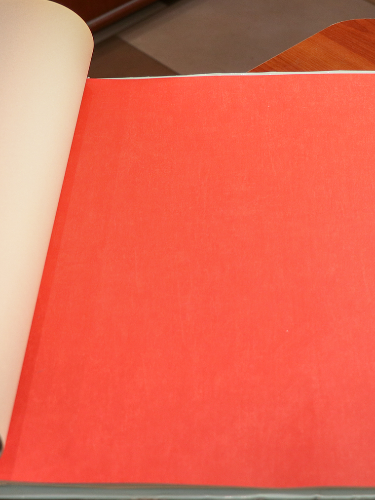 11163310 - LES PETITS CURIEUX - (0CM)    2