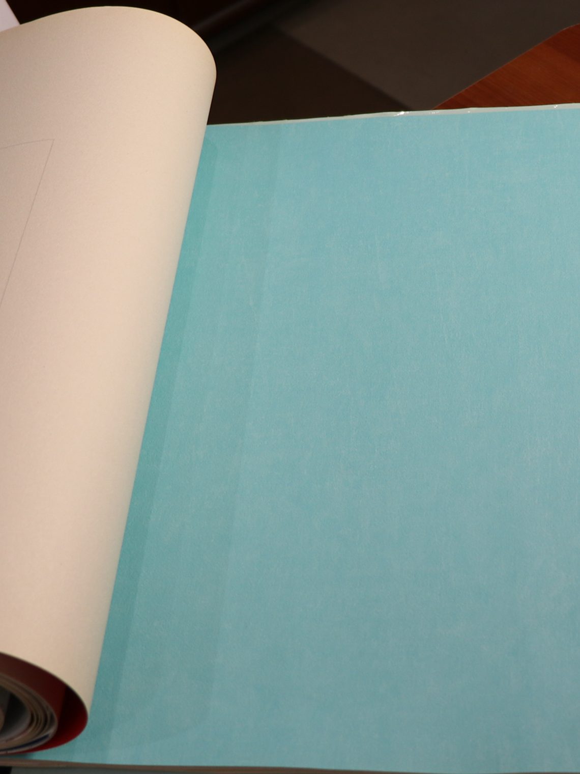 11163311 - LES PETITS CURIEUX - (0CM)   2