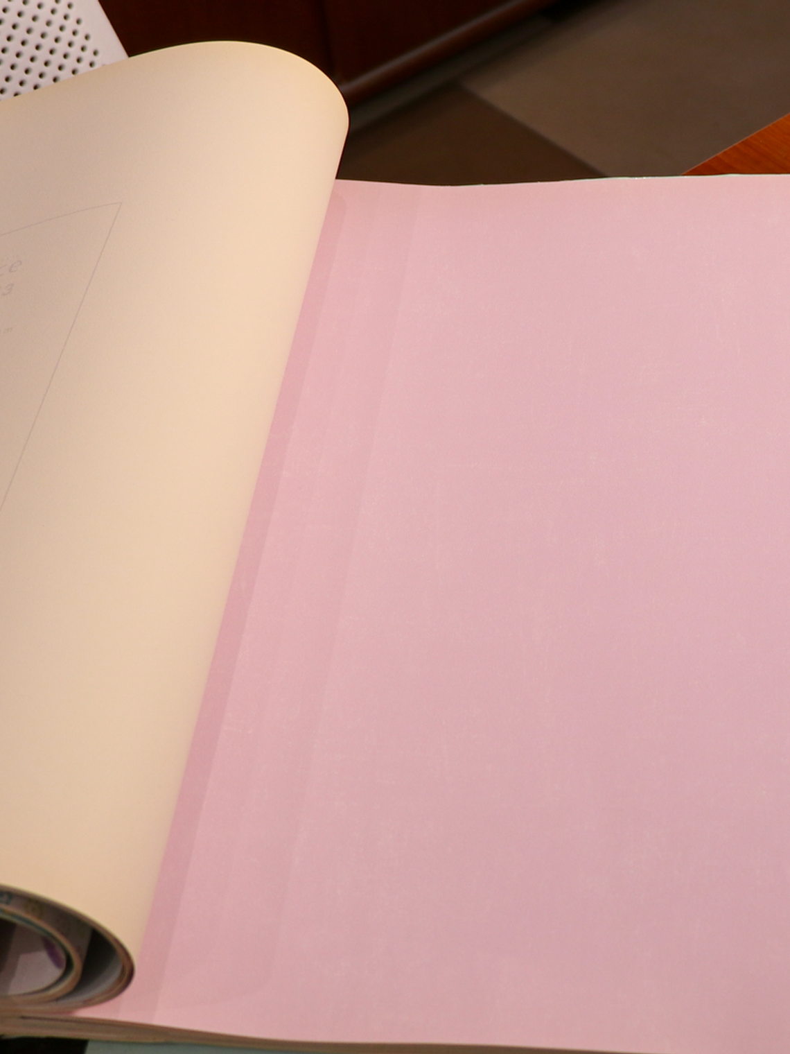 11163313 - LES PETITS CURIEUX - (0CM)     2