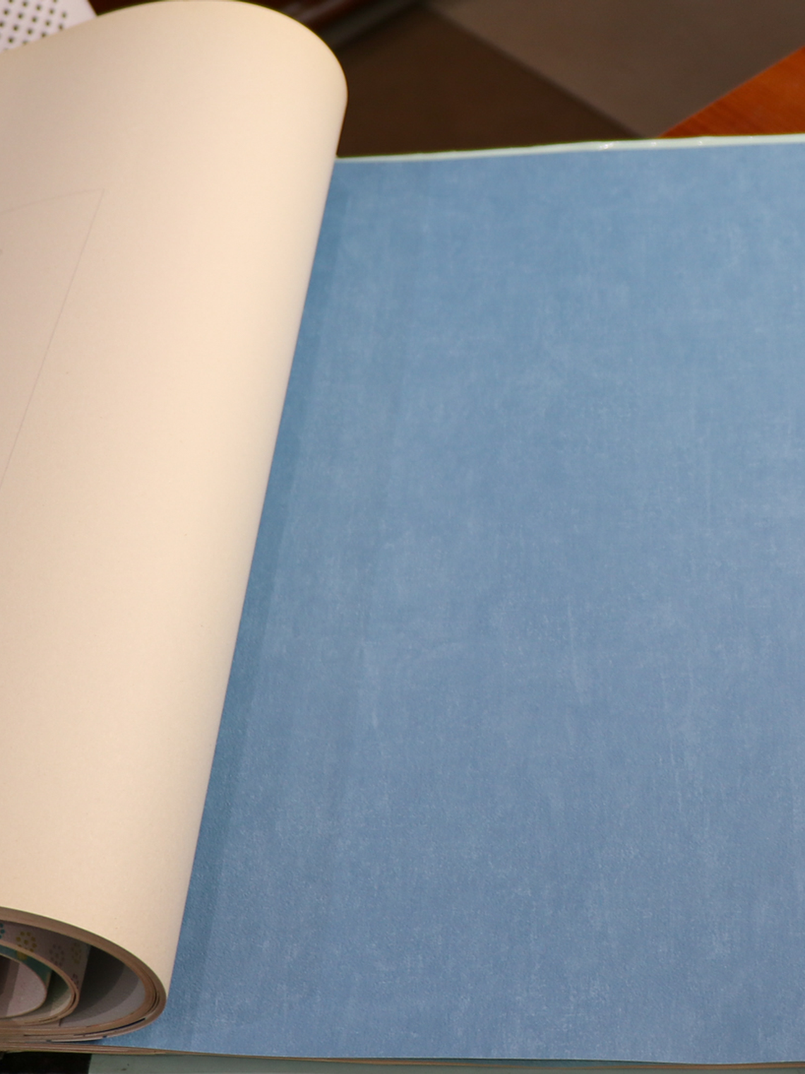 11163321 - LES PETITS CURIEUX - (0CM)     3