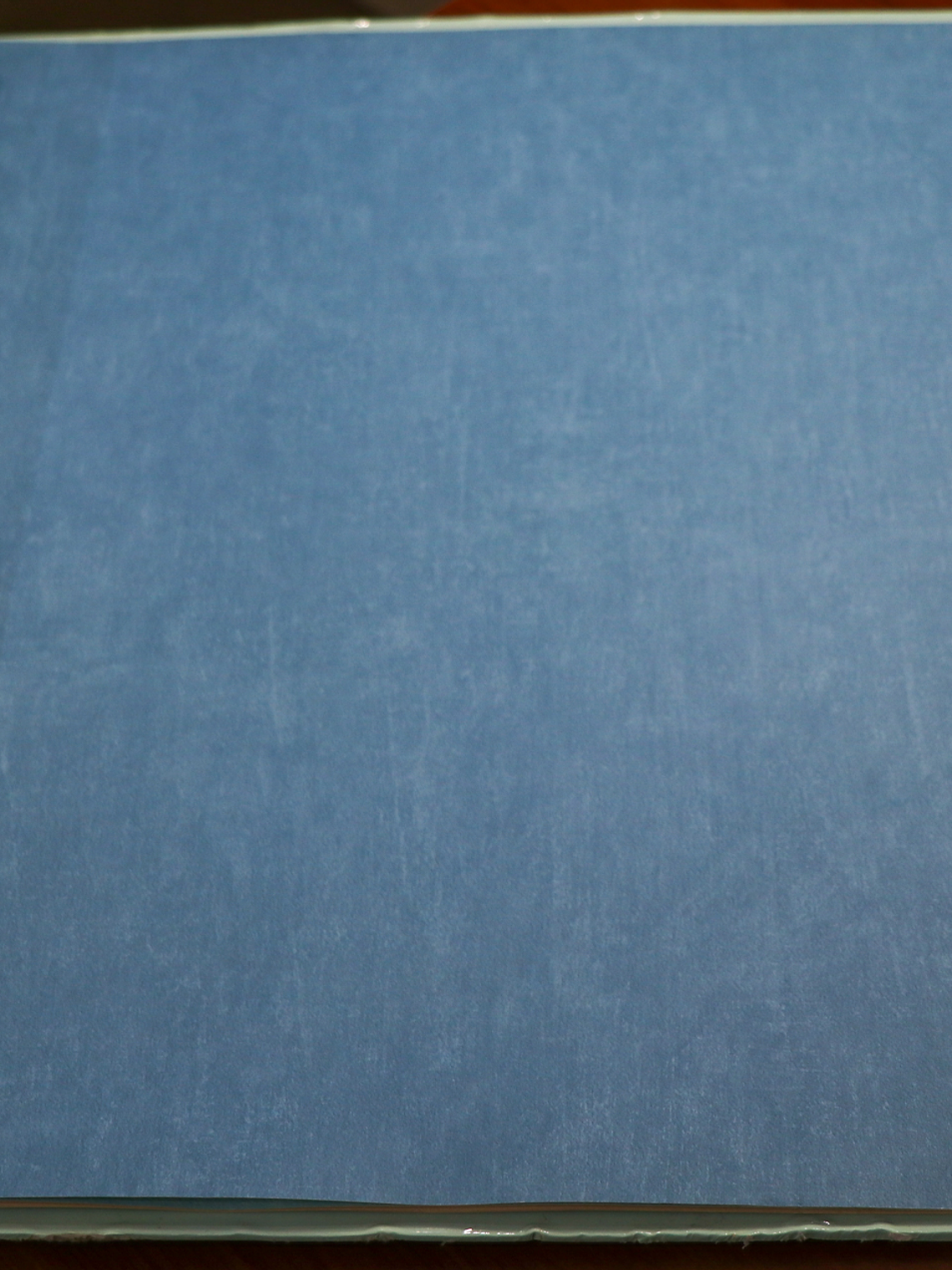 11163321 - LES PETITS CURIEUX - (0CM)     1