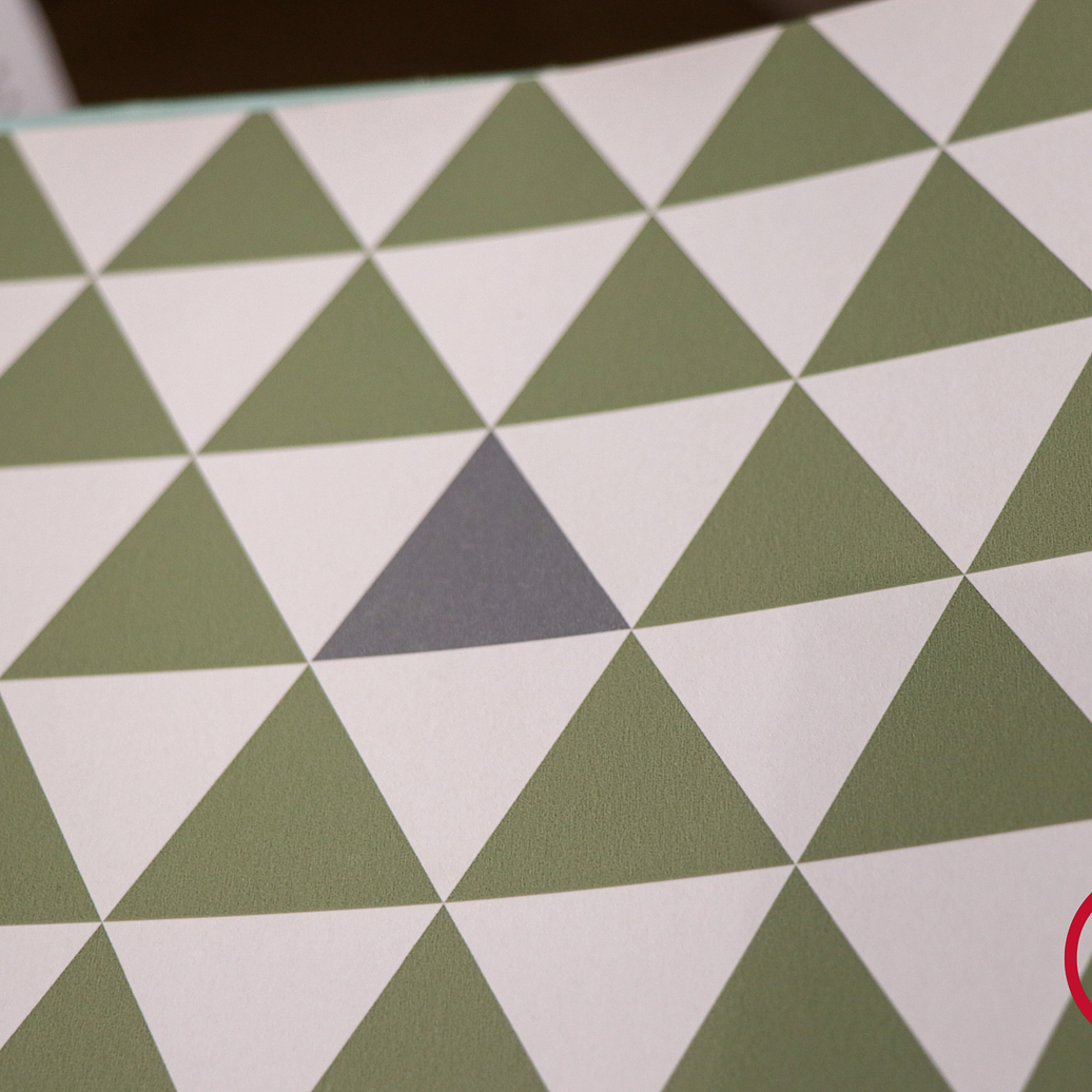 11160604 - LES PETITS CURIEUX - (53CM)  3