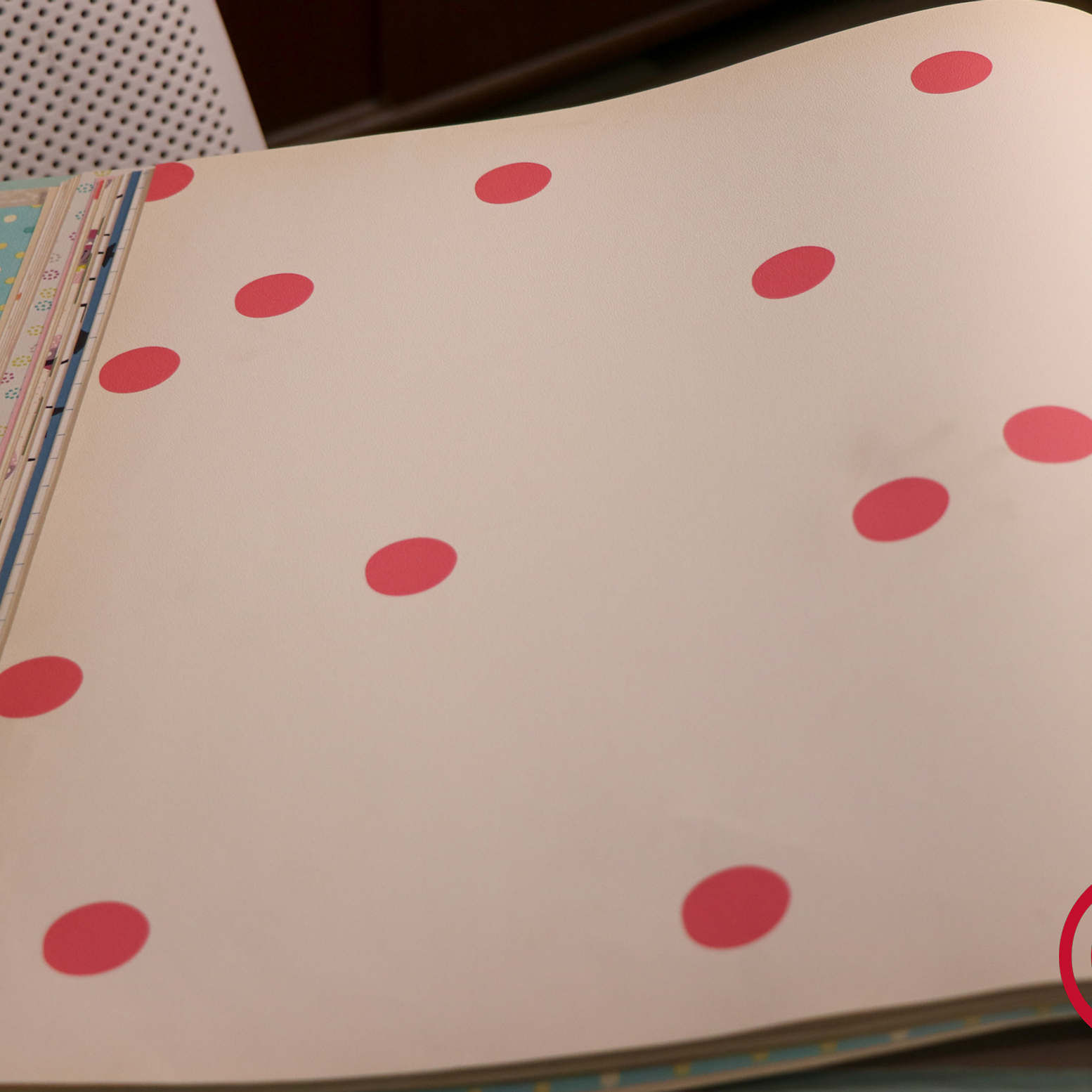 36160203 - LES PETITS CURIEUX - (0CM)     2