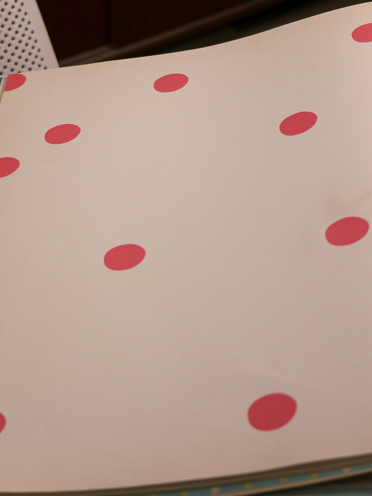 36160203 - LES PETITS CURIEUX - (0CM)     2