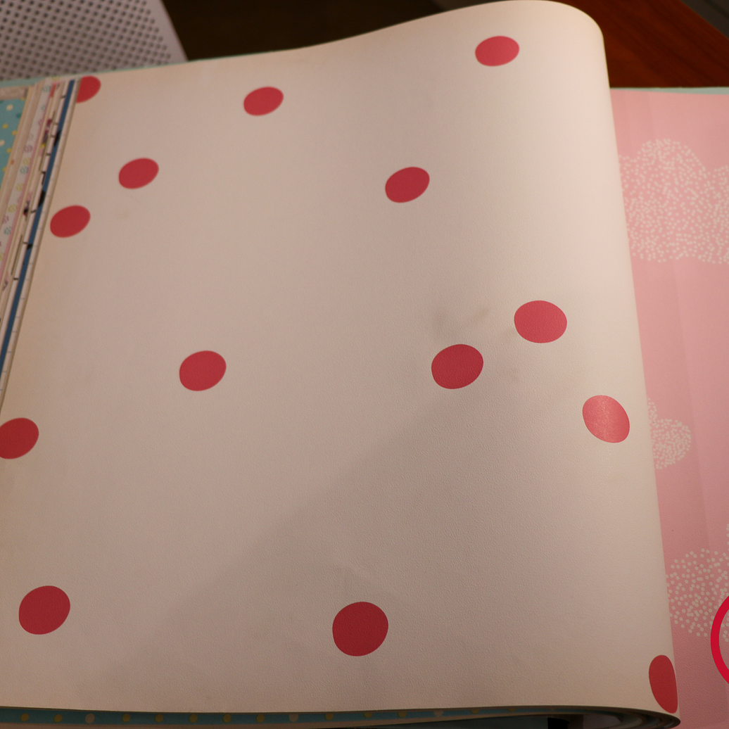 36160203 - LES PETITS CURIEUX - (0CM)     4