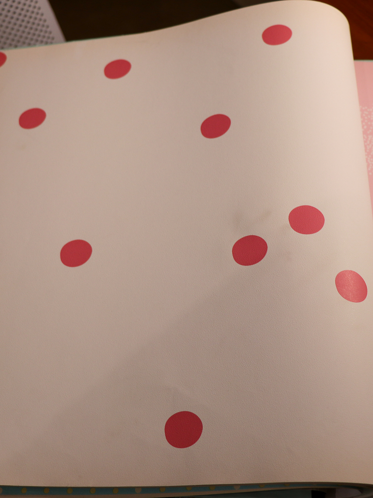 36160203 - LES PETITS CURIEUX - (0CM)     4