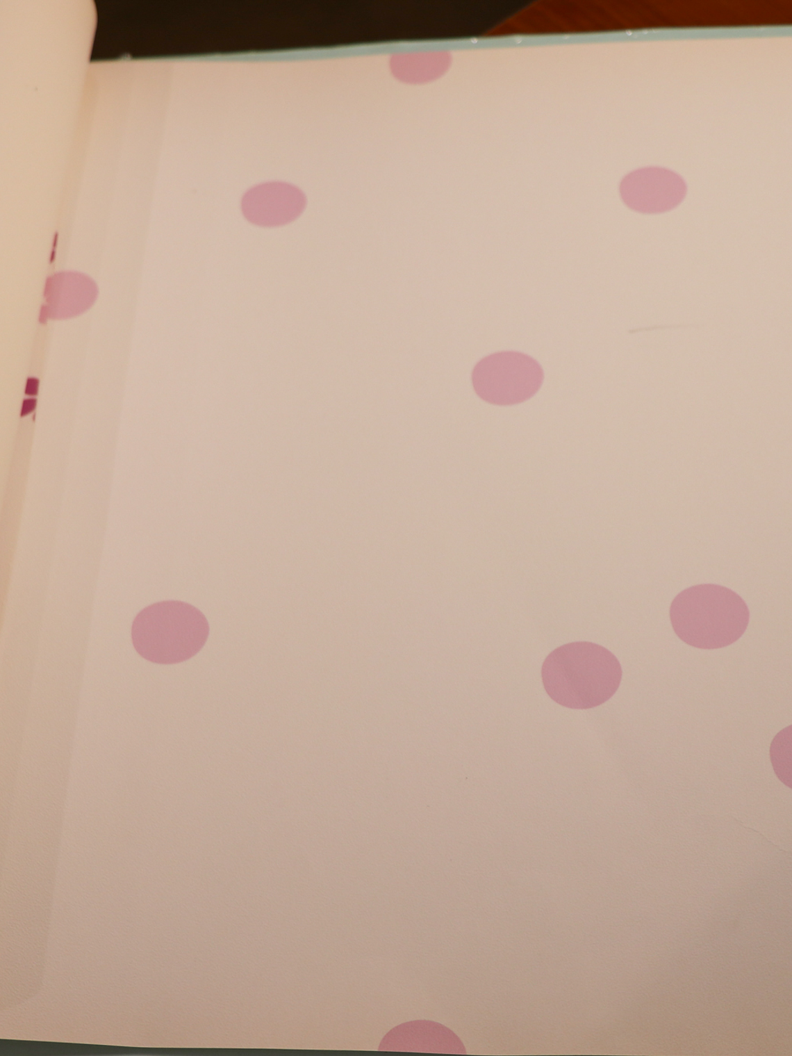 36160213-LES PETITS CURIEUX- (0CM)      1