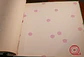 36160213-LES PETITS CURIEUX- (0CM)      - thumbnail 1