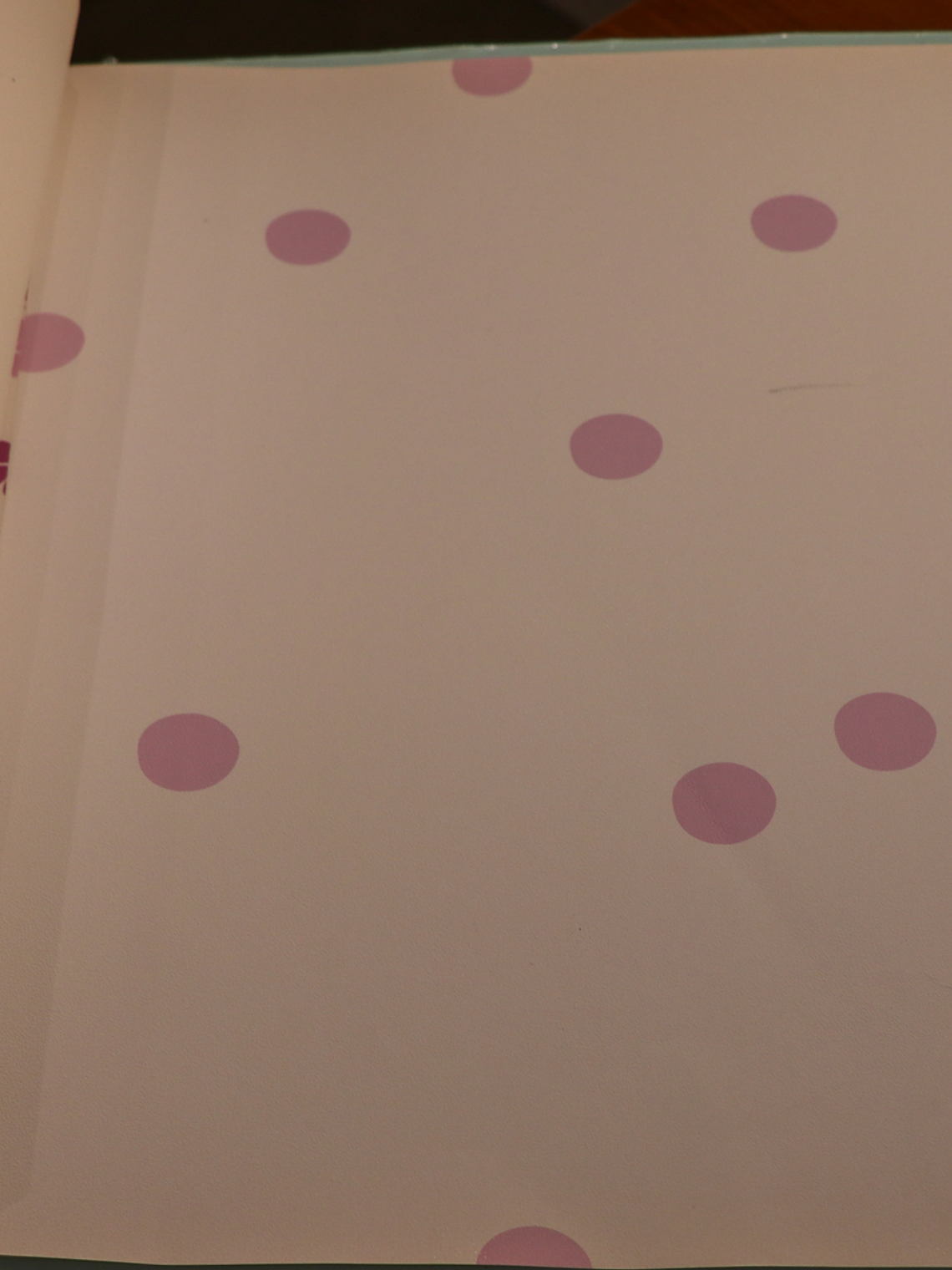 36160213-LES PETITS CURIEUX- (0CM)      2