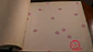 36160213-LES PETITS CURIEUX- (0CM)      - thumbnail 2