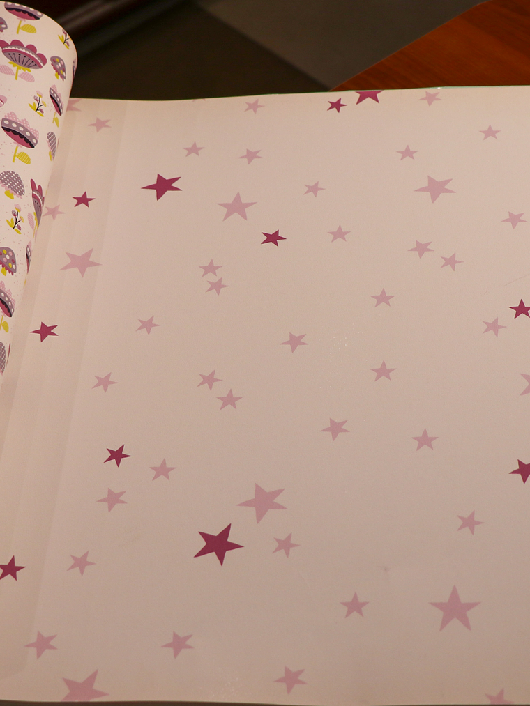 36160313 - LES PETITS CURIEUX - (0CM)       1