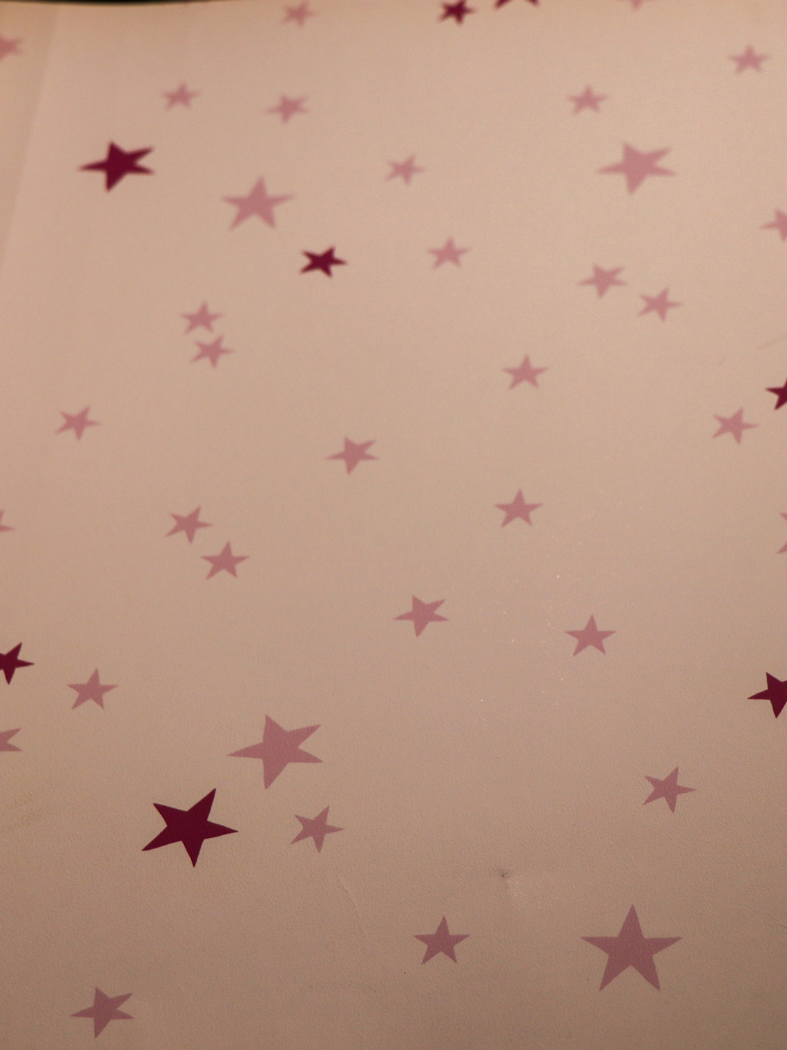 36160313 - LES PETITS CURIEUX - (0CM)       2