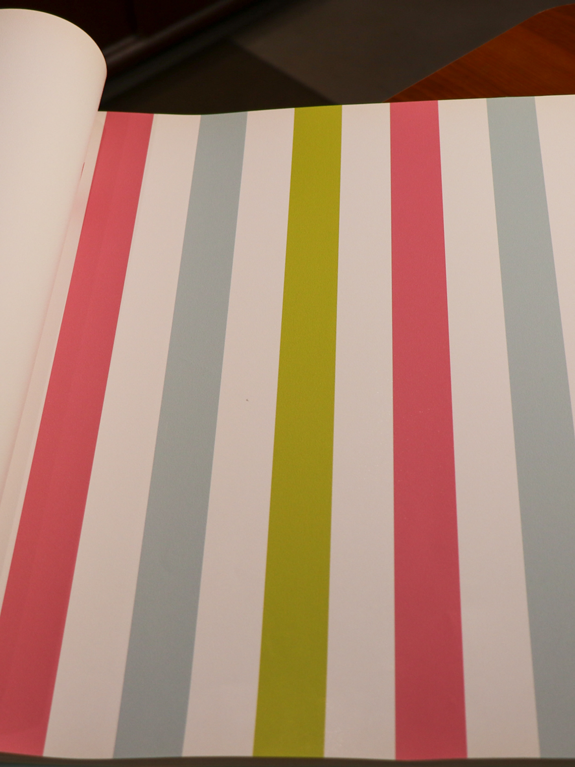 36160403 - LES PETITS CURIEUX - (0CM)   1