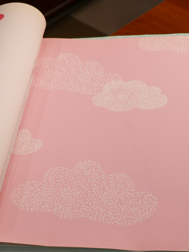 36160503 - LES PETITS CURIEUX- (0CM)    1