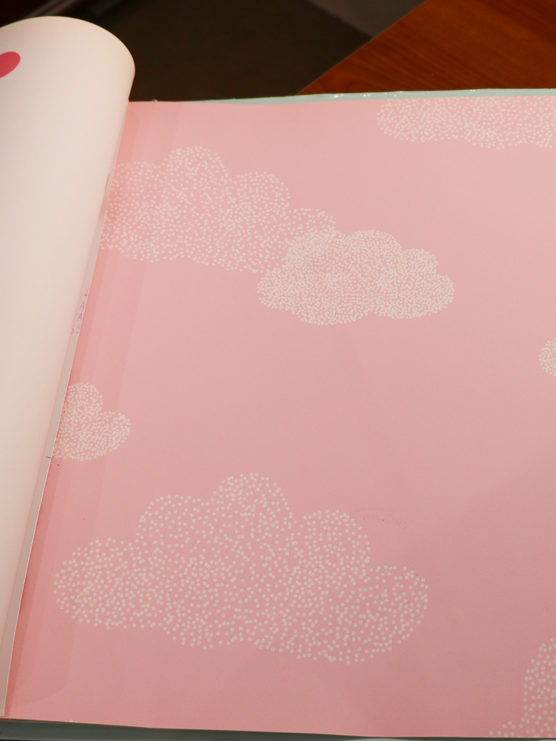 36160503 - LES PETITS CURIEUX- (0CM)    3