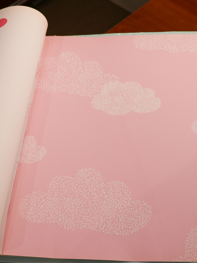 36160503 - LES PETITS CURIEUX- (0CM)    3