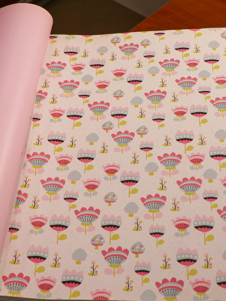 36160703 - LES PETITS CURIEUX - (53CM)   1