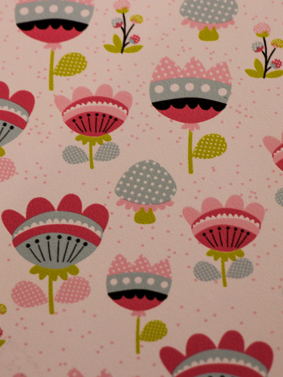 36160703 - LES PETITS CURIEUX - (53CM)   2