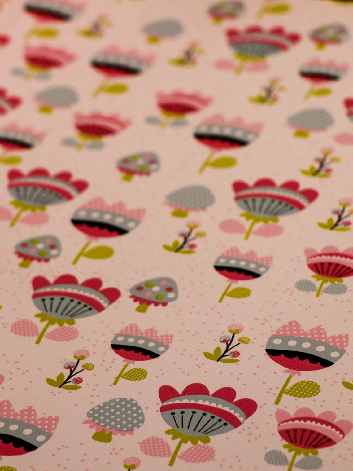 36160703 - LES PETITS CURIEUX - (53CM)   4