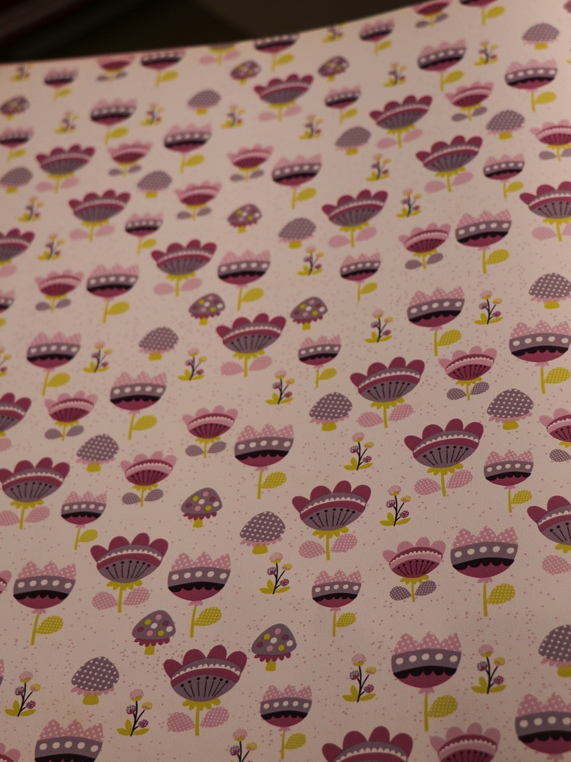 36160713 - LES PETITS CURIEUX- (53CM)    1