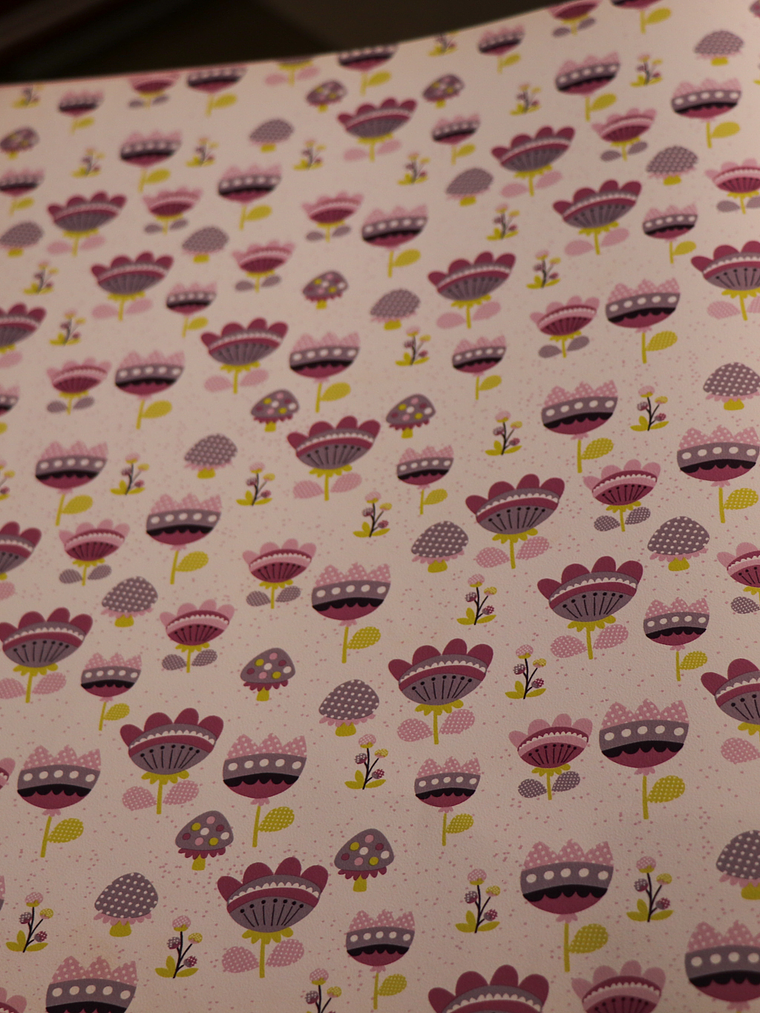 36160713 - LES PETITS CURIEUX- (53CM)    1