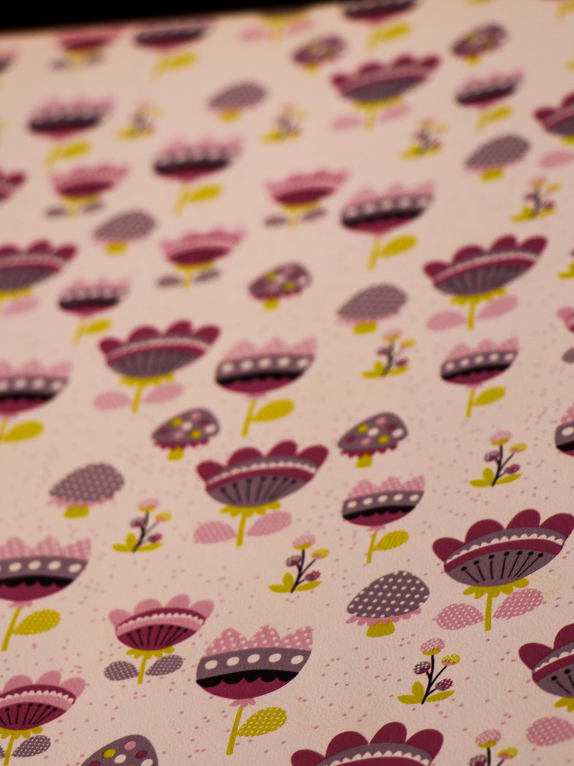 36160713 - LES PETITS CURIEUX- (53CM)    2