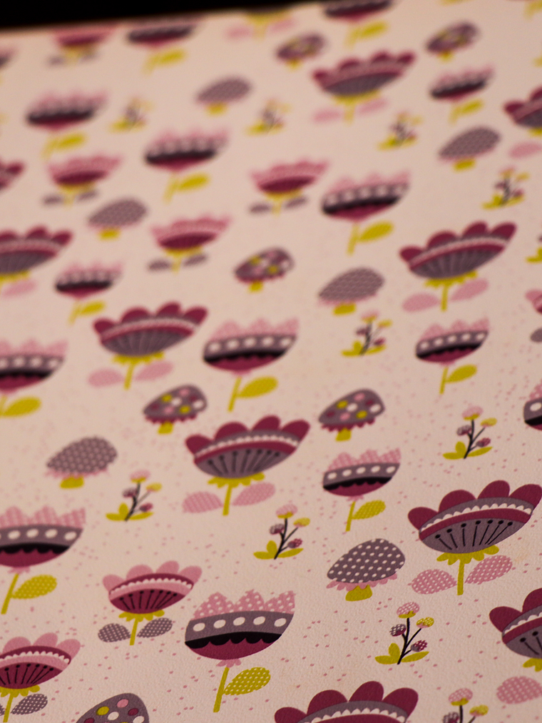 36160713 - LES PETITS CURIEUX- (53CM)    2