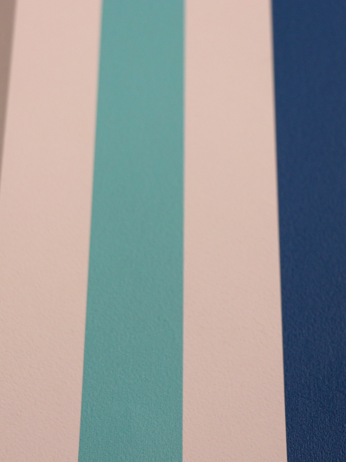 11160209-LES PETITS CURIEUX- (0CM)  3