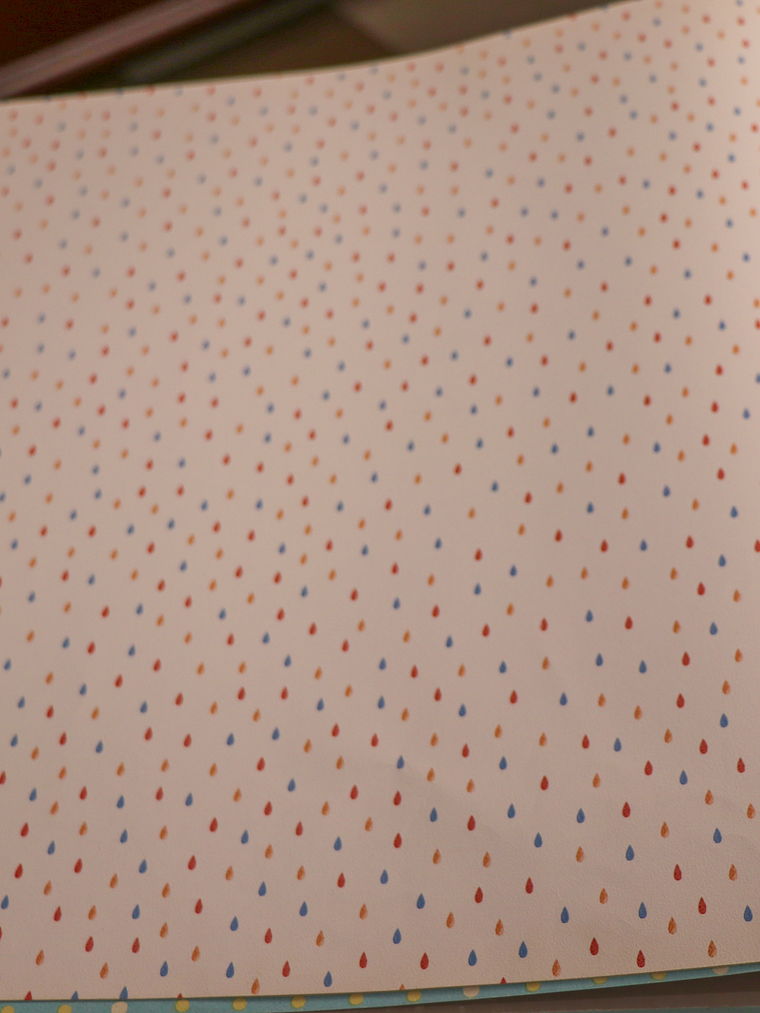 629402-LES PETITS CURIEUX - (0CM) 1