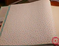 629402-LES PETITS CURIEUX - (0CM) - thumbnail 1