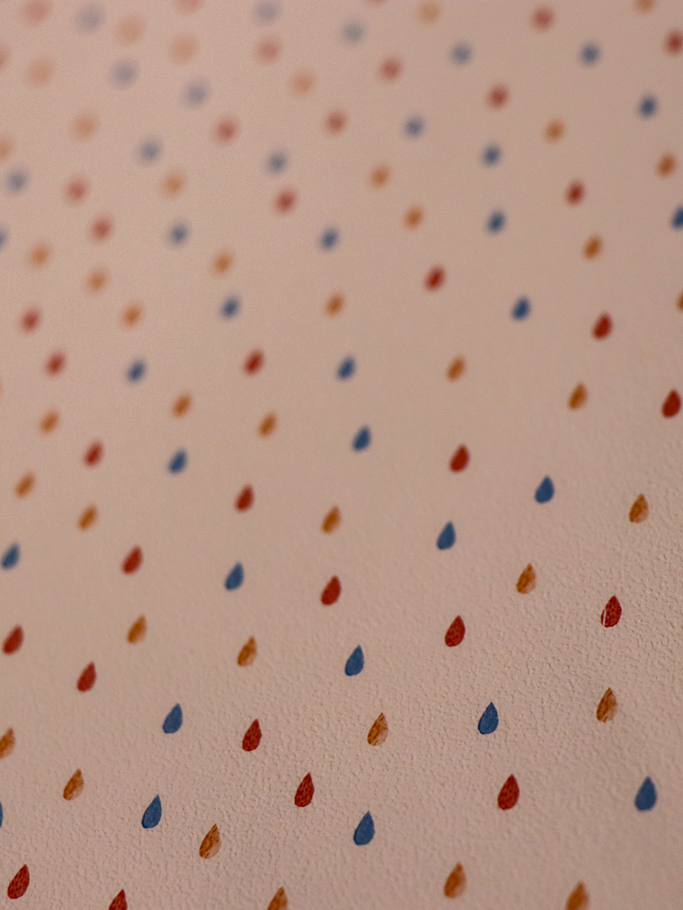 629402-LES PETITS CURIEUX - (0CM) 2