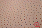 629402-LES PETITS CURIEUX - (0CM) - thumbnail 2